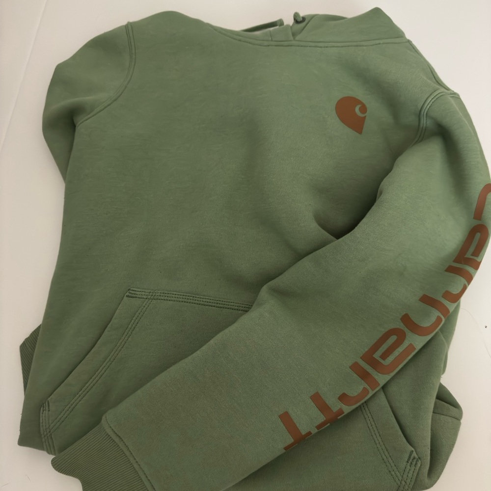 Carhartt hoodie new without tags